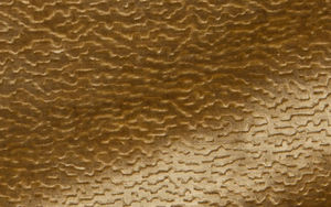GLANT - persian velvet - Tissu D'ameublement