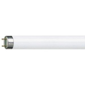 Philips - tube fluorescent 1381414 - Tube Fluorescent