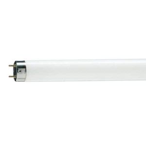 Philips - tube fluorescent 1381444 - Tube Fluorescent