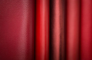 WHISTLER LEATHER - luxor red hot - Cuir