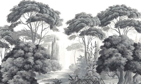 Ananbô - Papier peint panoramique-Ananbô-Pins et Oliviers grisaille