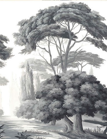 Ananbô - Papier peint panoramique-Ananbô-Pins et Oliviers grisaille