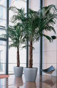 DESIGNER PLANTERS - classico silver - Tree Pot