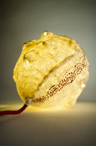 SOPHIE LULINE - solena 1 - Decorative Illuminated Object