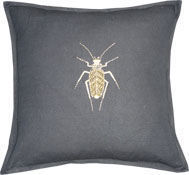 Barbara Coupe - gold bug - Square Cushion