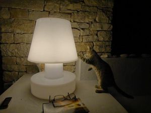 BLOOM ! -  - Table Lamp