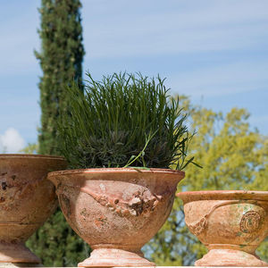 Le Chêne Vert - régence - Anduze Vase