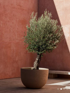 DOMANI - terracotta - Tree Pot