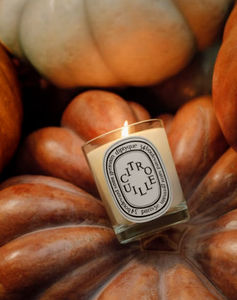 Diptyque - citrouille - Scented Candle