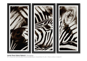 TROWBRIDGE - jamle thom zebra triptych - Fotografie