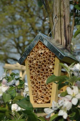 BEST FOR BIRDS - Bienenstock-BEST FOR BIRDS-Maison pour abeilles