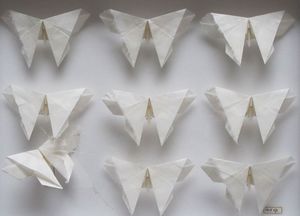 TSUYU BRIDWELL - papillons - Escultura