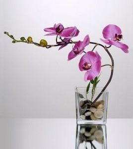 ORAFLEUR -  - Flor Artificial