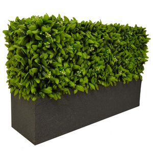 Hedged In -  - Seto Artificial