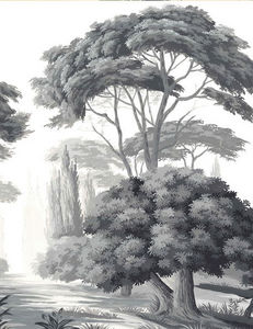 Ananbô - pins et oliviers grisaille - Carta Da Parati Panoramica